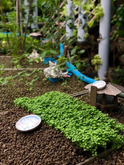 OASIS by Four Twenty – 写真 11